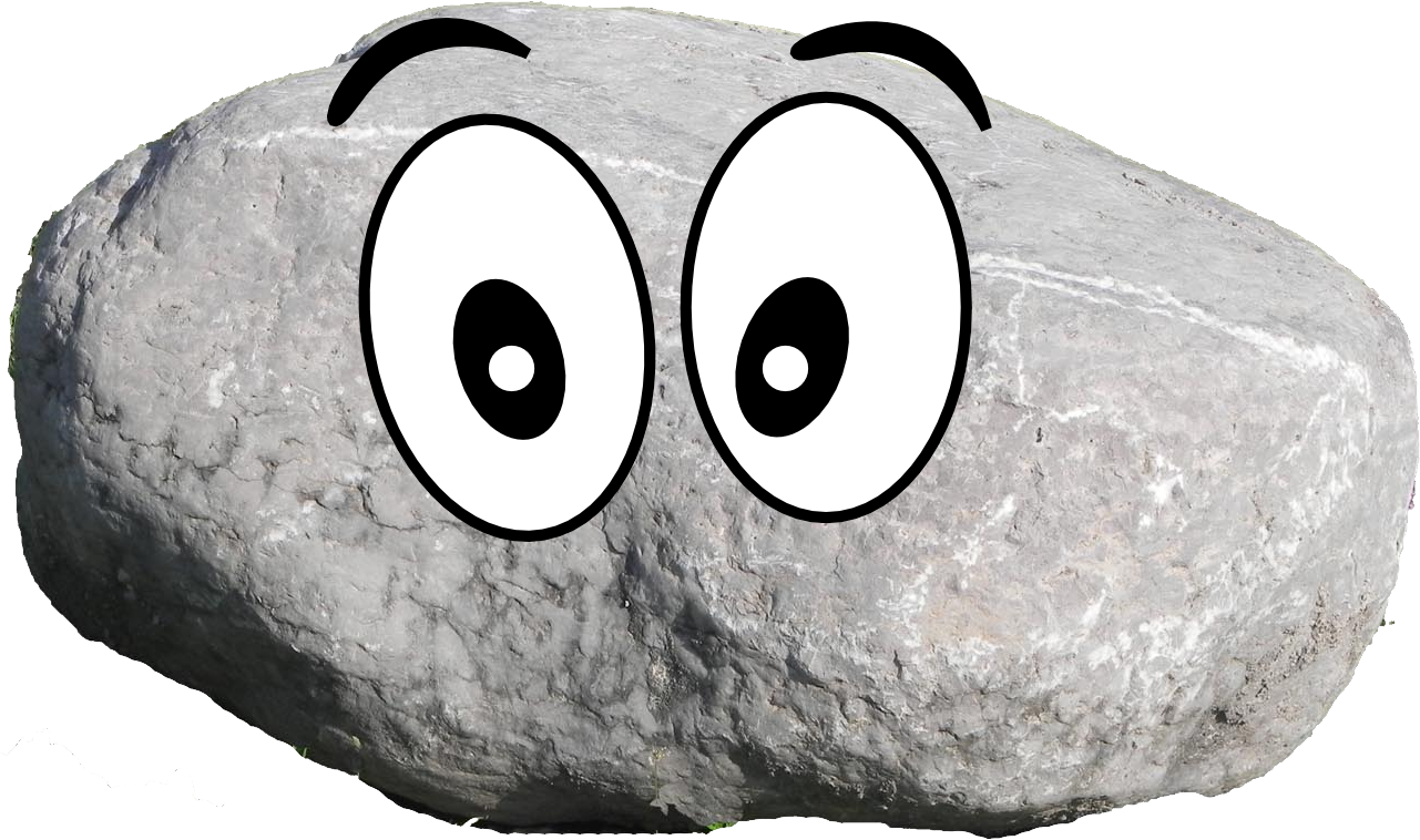 A rock with googly eyes on it.